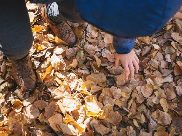 Fall leaf removal and yard cleanup service in Argyle TX clearing fallen leaves to keep lawns clean and healthy