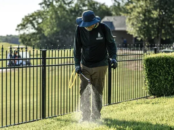 Fire ant control treatment in Argyle TX eliminating ant mounds and protecting lawns and outdoor areas from infestations