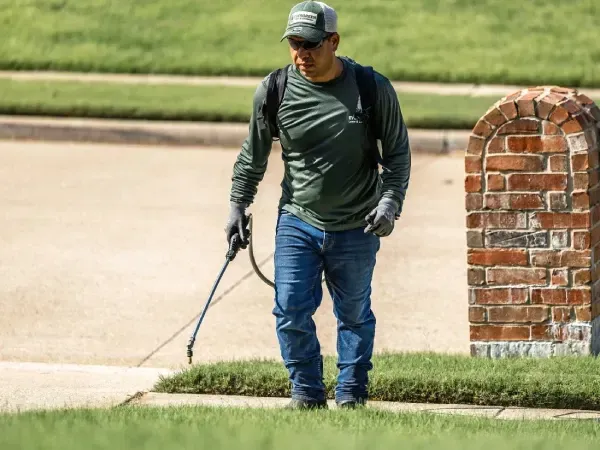 Grub control lawn treatment in Argyle TX protecting grass roots from damaging lawn insects