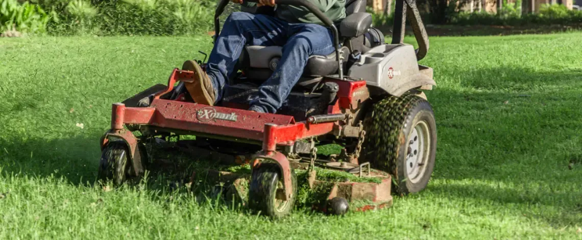 Best Practices for Lawn Maintenance – by Grass Type