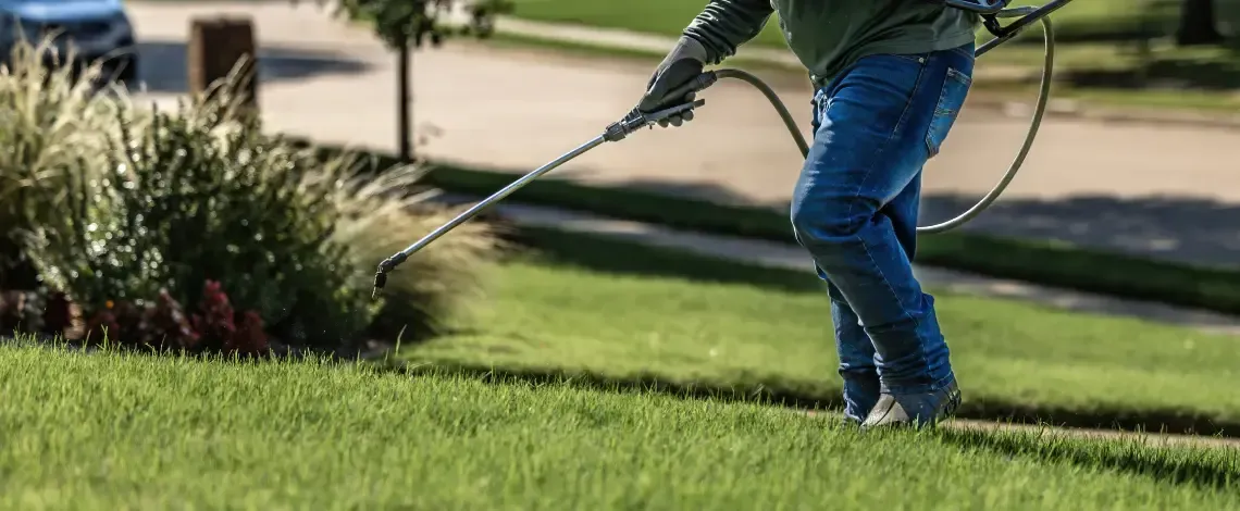 Fall Broadleaf Weed Control