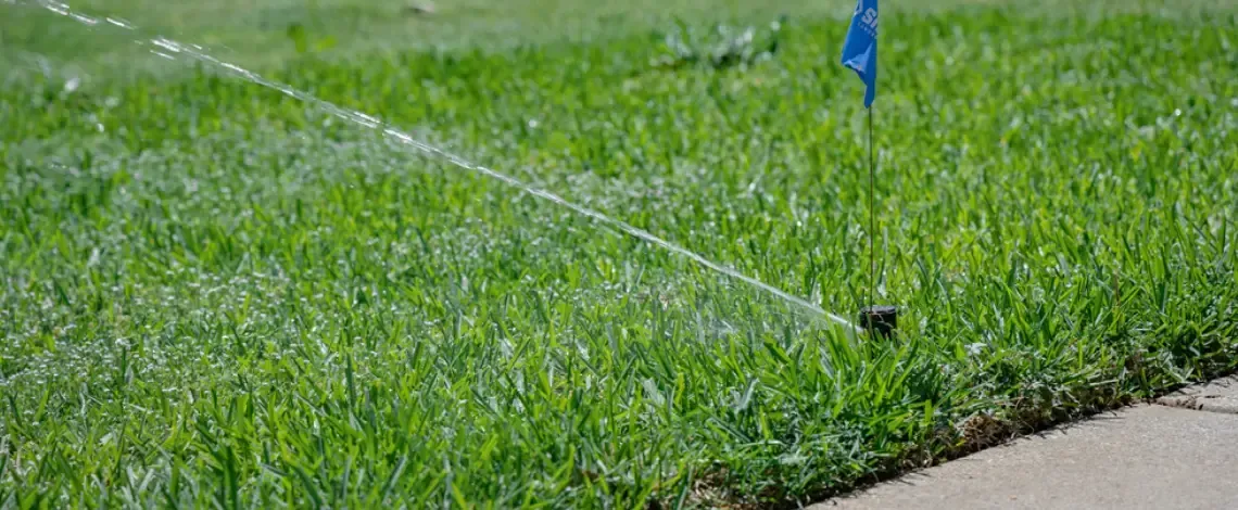 Watering Guidelines by Grass Type