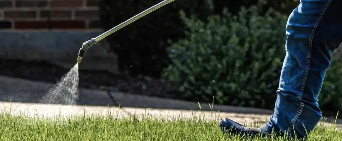 How to Kill Weeds Without Killing Grass