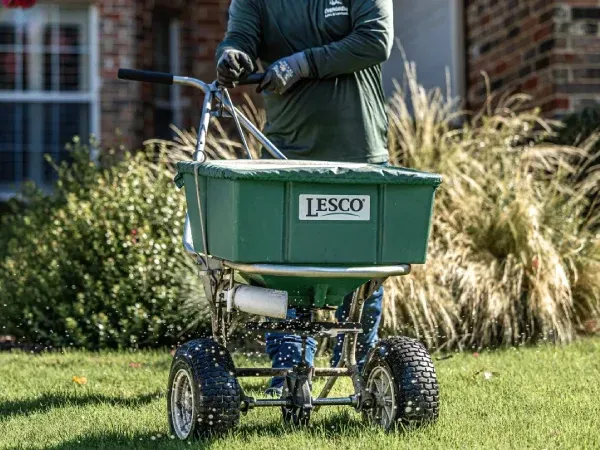Lawn armyworm treatment service in Argyle TX stopping infestations and preventing damage to turf and grass areas
