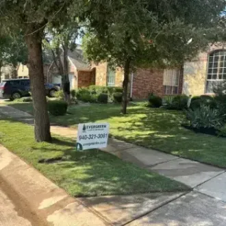 Professional lawn care services in Argyle TX for healthy and well-maintained yards