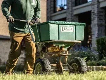 Professional lawn fertilization service in Argyle TX promoting thicker greener and healthier grass growth