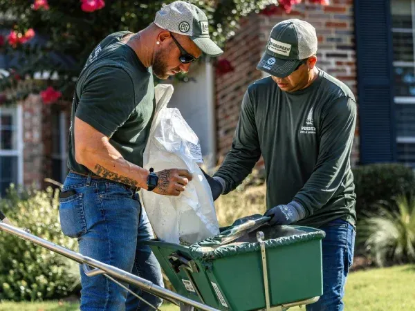 Lawn fungus treatment service in Argyle TX protecting grass from disease and discoloration