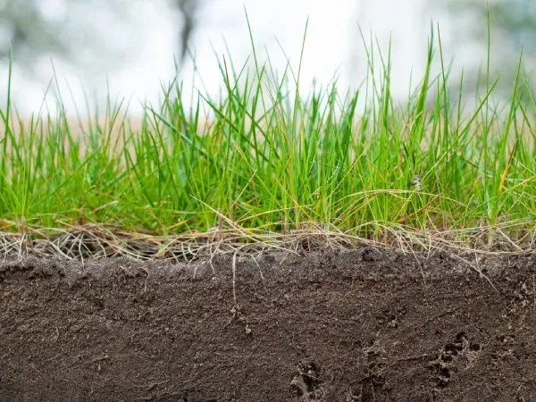 Lawn soil conditioning with surfactant treatment in Argyle TX reducing water runoff and improving soil hydration efficiency