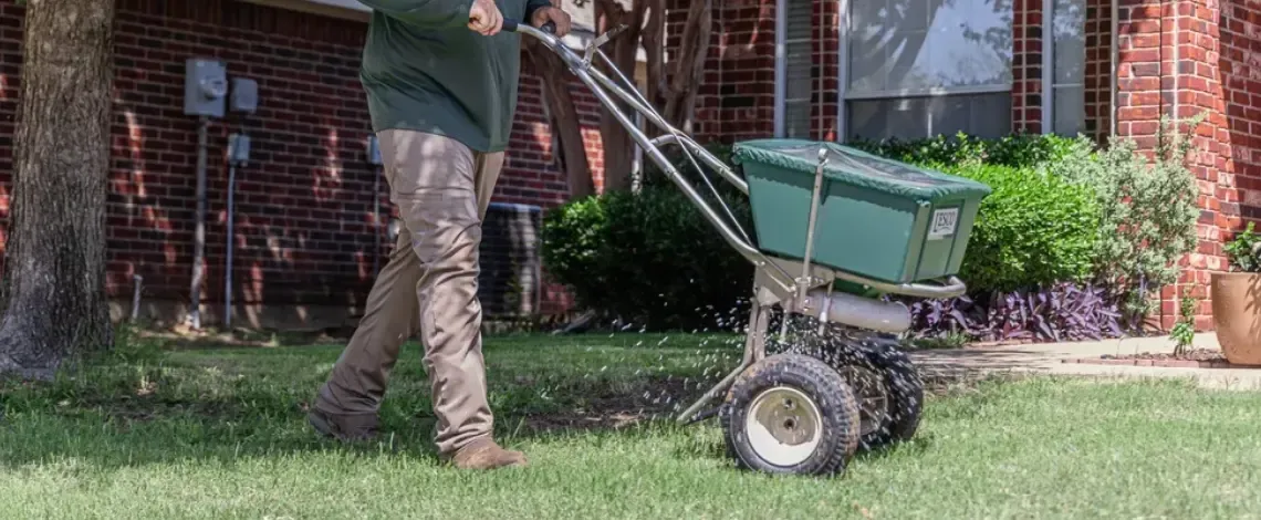 Fertilizer for Evergreen Shrubs