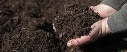 Professional mulch installation service in Argyle TX improving soil moisture retention and enhancing landscape appearance