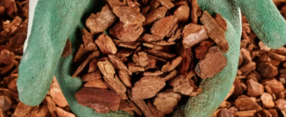 How Often Should I Replace Mulch?