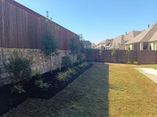 New landscape tree planting service in Argyle TX enhancing curb appeal with healthy professionally planted trees