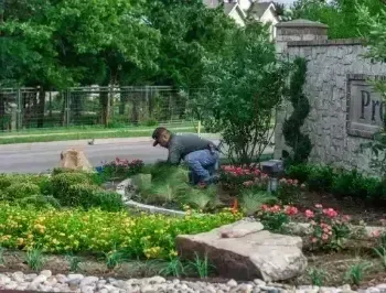 Plantings and softscapes service in Argyle TX featuring flowers shrubs and greenery for a vibrant landscape design