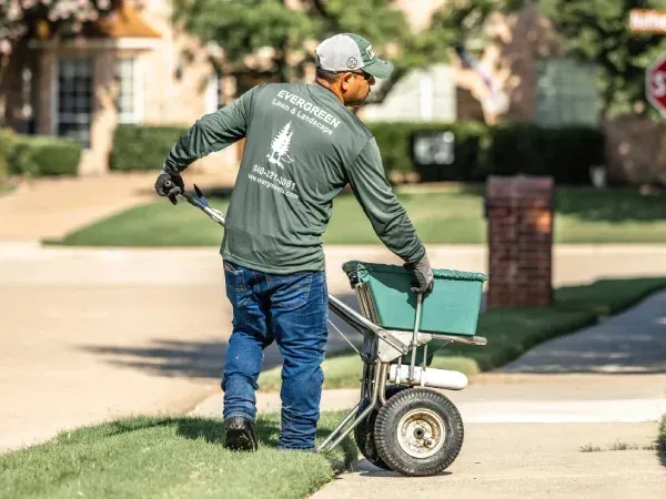 Professional grass nutrition treatment in Argyle TX improving soil health and promoting dense green lawns