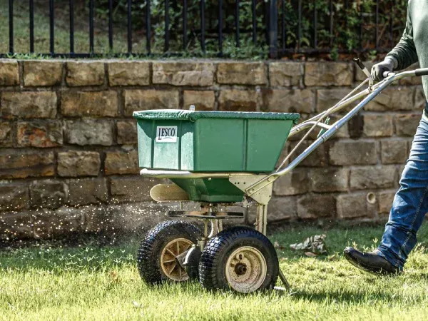 Professional grass sod installation in Argyle TX delivering smooth even and vibrant residential lawns
