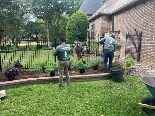 Seasonal flower bed planting in Argyle TX adding fresh annual flowers and vibrant color to outdoor landscapes