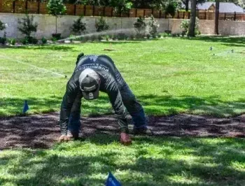 Professional sod installation service in Argyle TX providing instant lush green lawns for residential properties