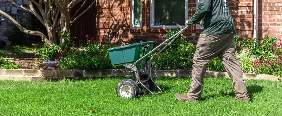 Spring Lawn Care Tips: The Importance of Fertilization and Weed Control in Argyle, TX