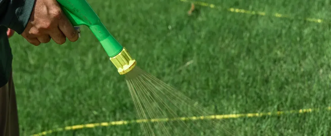 Spring lawn care to revive a healthy green lawn after winter dormancy