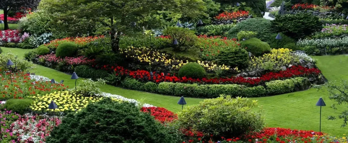Texas Landscaping Ideas Front Yard