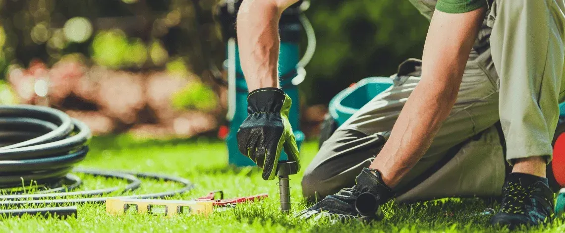 water-smart lawn care in north texas