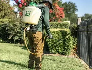 Effective weed control service in Argyle TX removing unwanted weeds and protecting healthy lawn growth