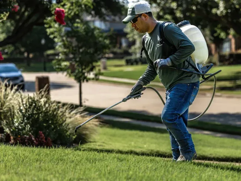 Weed prevention and grass care services in Argyle TX protecting lawns from invasive growth