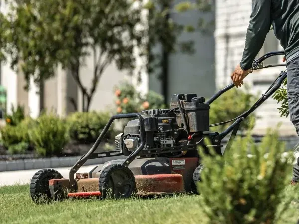 yard mowing and maintenance service in Argyle TX providing clean and professional lawn care