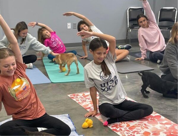 A group of girls doing yoga on mats, a dog wandering between them. Indoors, with gray floor, white walls.