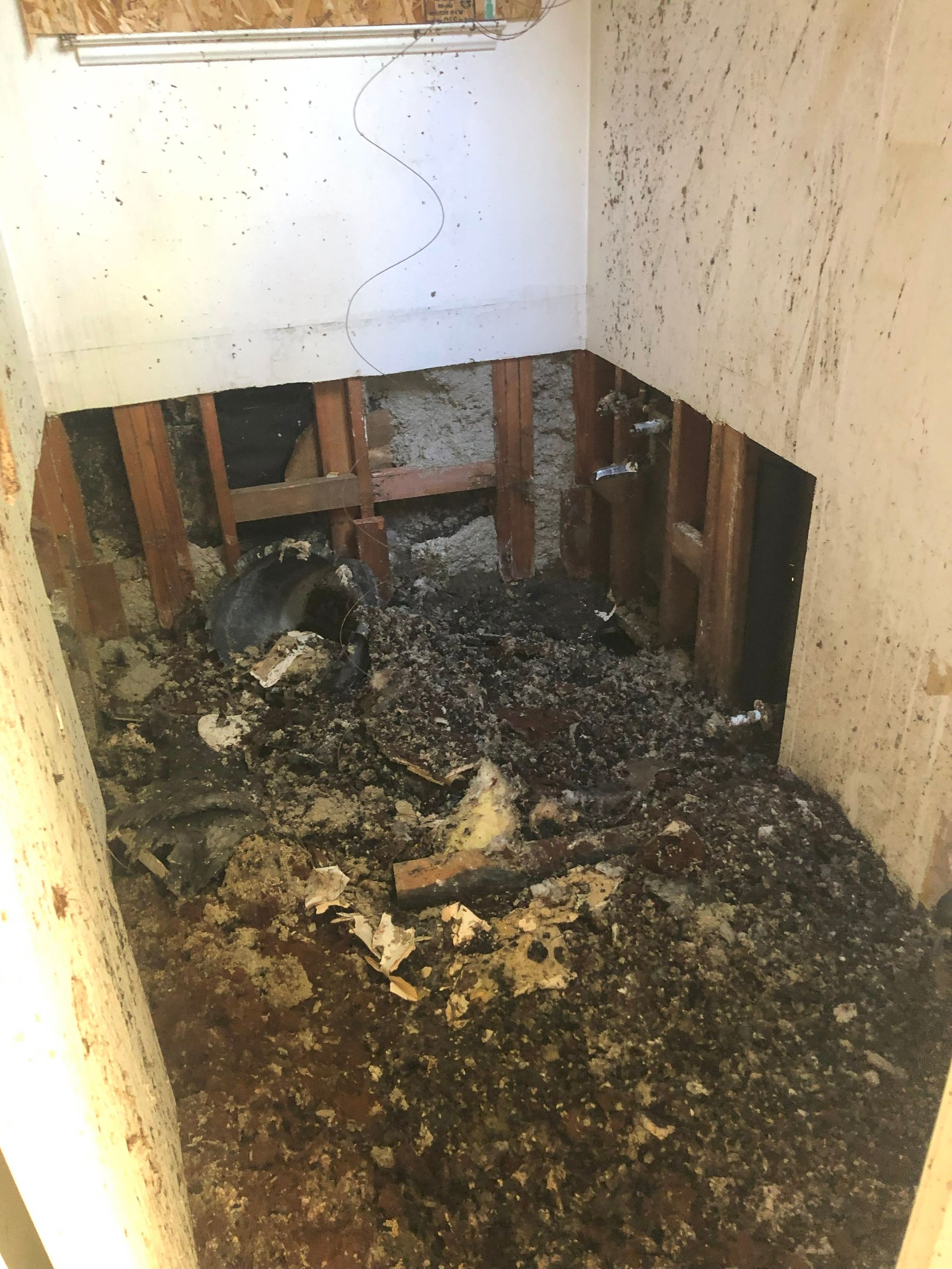 Quick Cash for Water-Damaged Homes