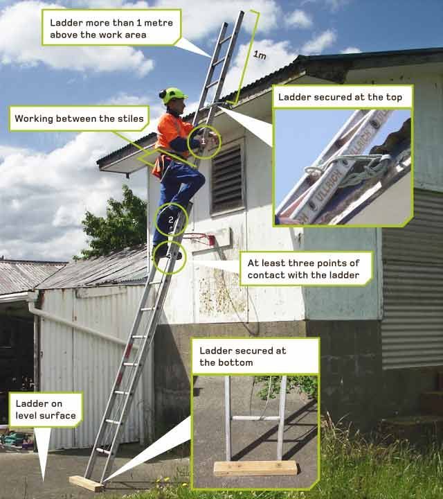 Ladders and Falls