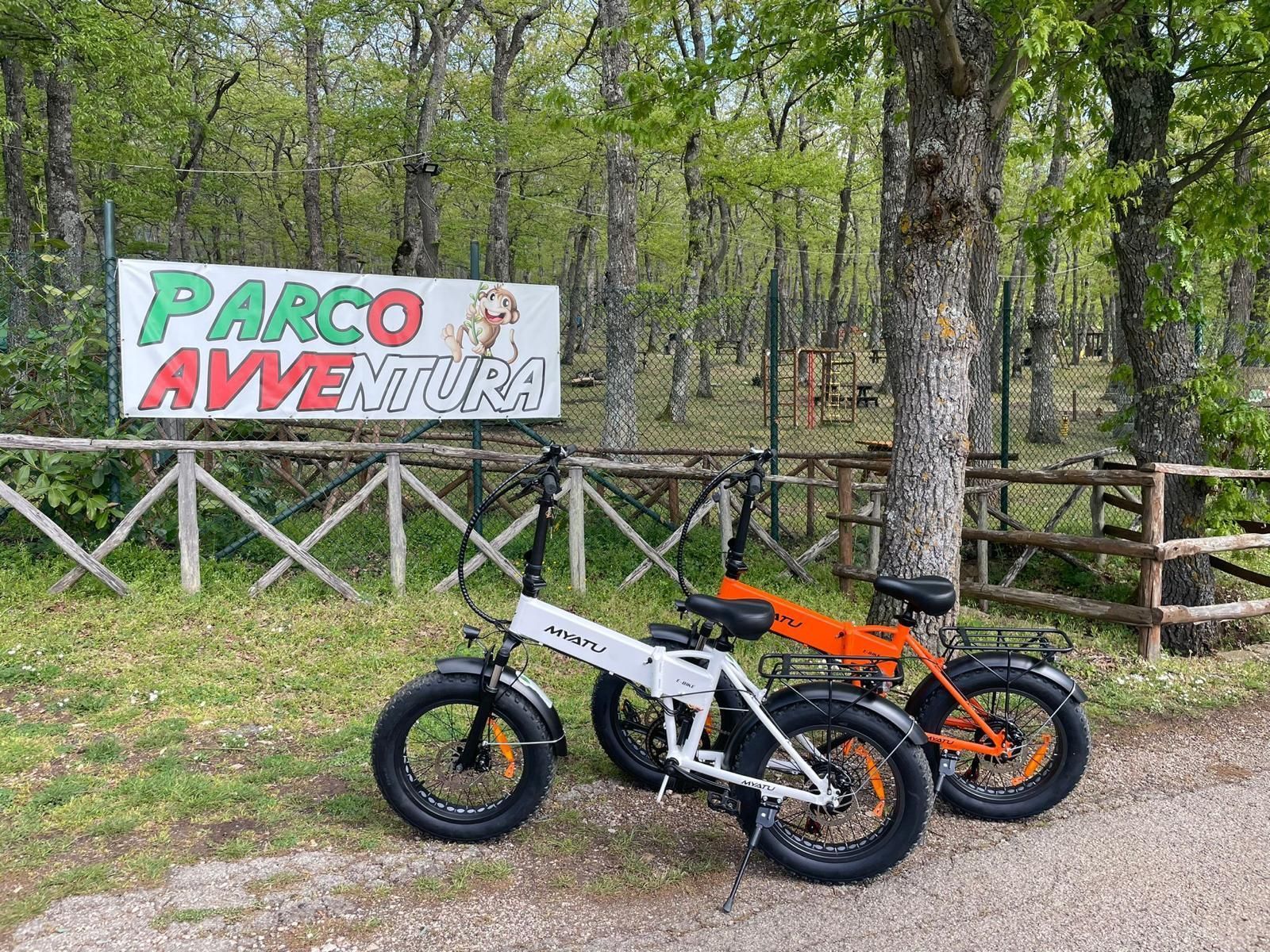 bici elettriche