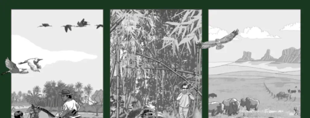 Uma foto em preto e branco de um bando de pássaros voando sobre um campo.