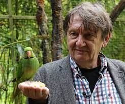 Um homem está segurando um papagaio verde na mão.