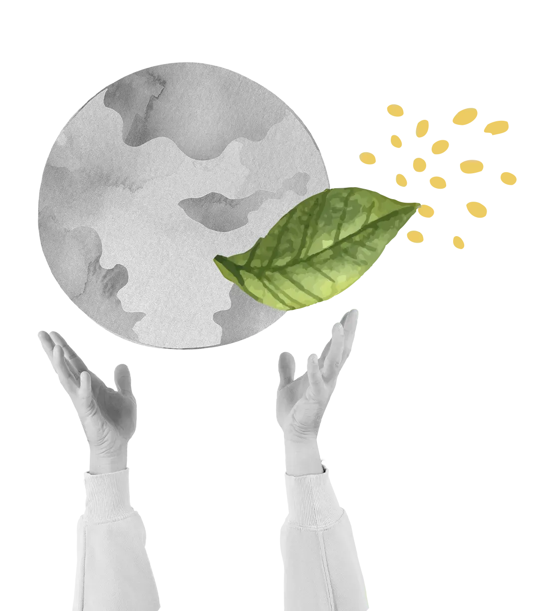 Mãos estendidas em direção a um globo cinza com uma folha verde e sementes amarelas, simbolizando o crescimento ambiental.
