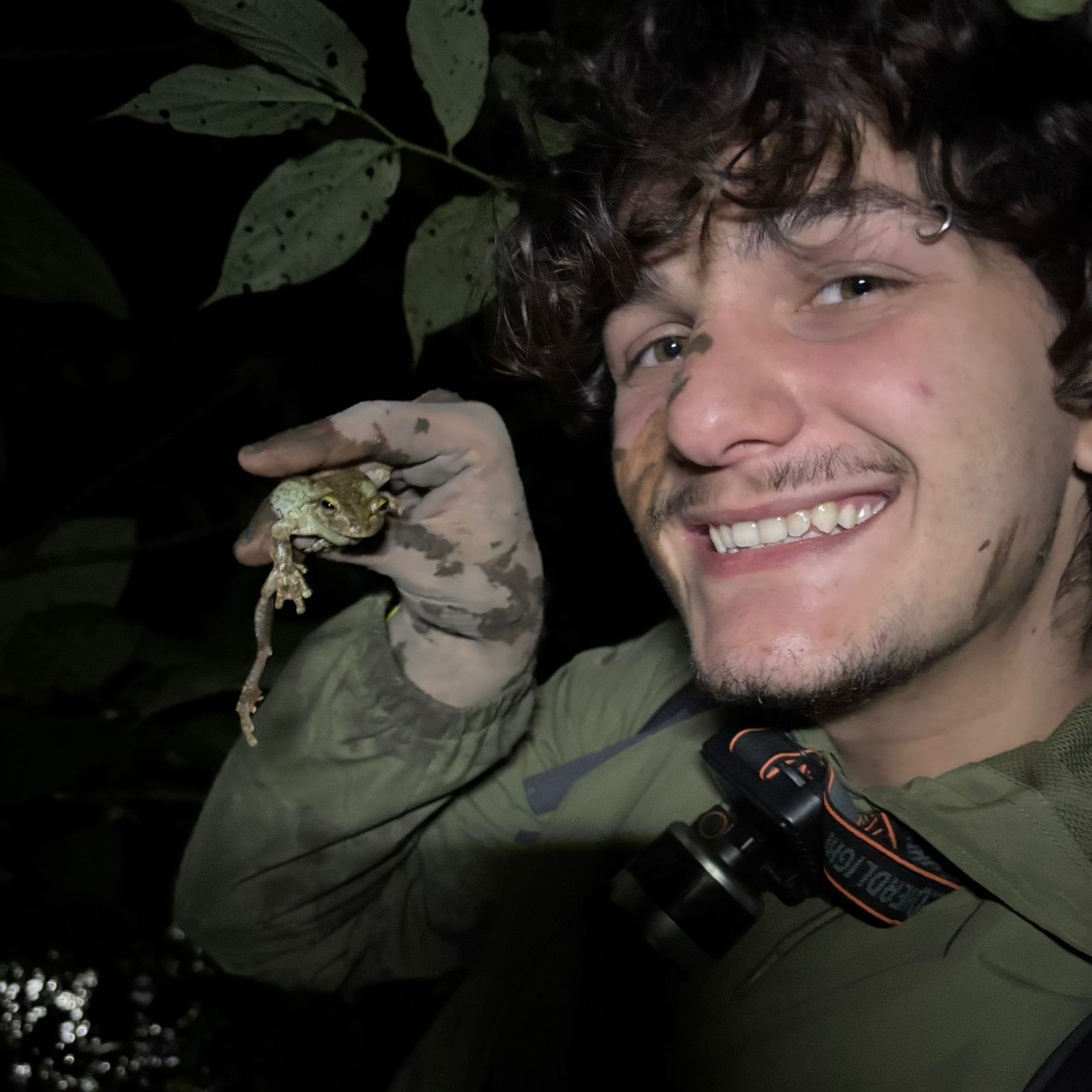 Pessoa sorridente vestindo uma camisa verde-escura segurando um pequeno sapo à noite, perto de galhos com folhas.