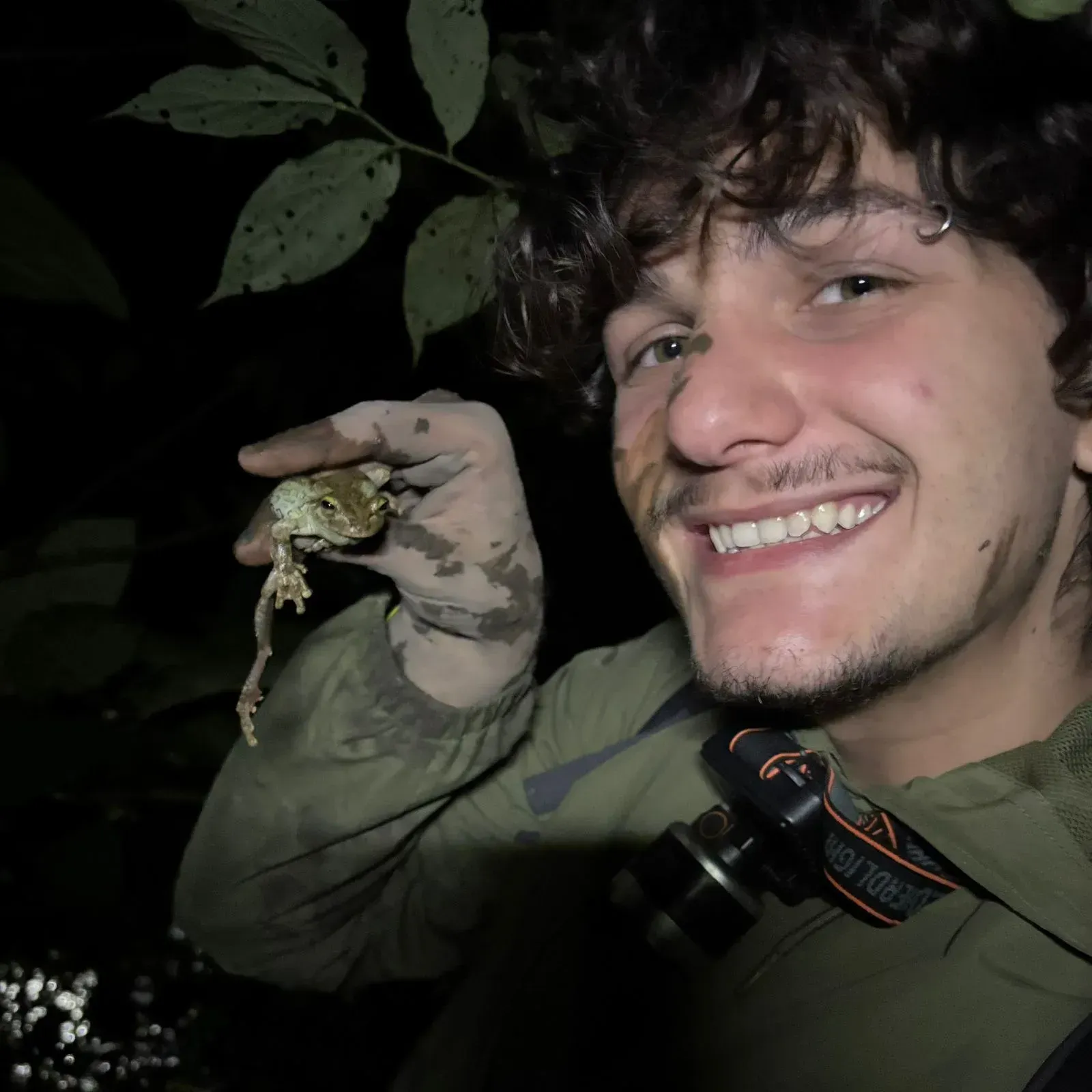 Pessoa sorridente vestindo uma camisa verde-escura segurando um pequeno sapo à noite, perto de galhos com folhas.