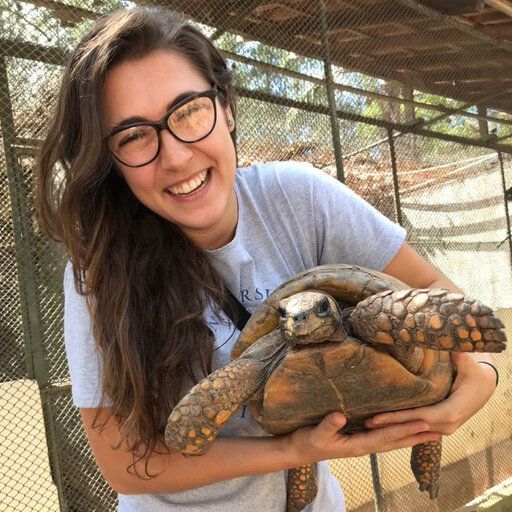 Mulher sorridente segurando uma tartaruga em um recinto externo ensolarado.