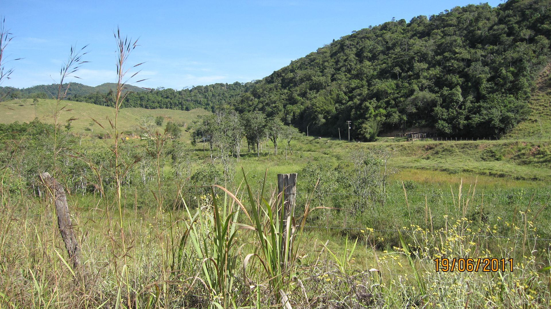 Um campo com árvores ao fundo e uma cerca em primeiro plano