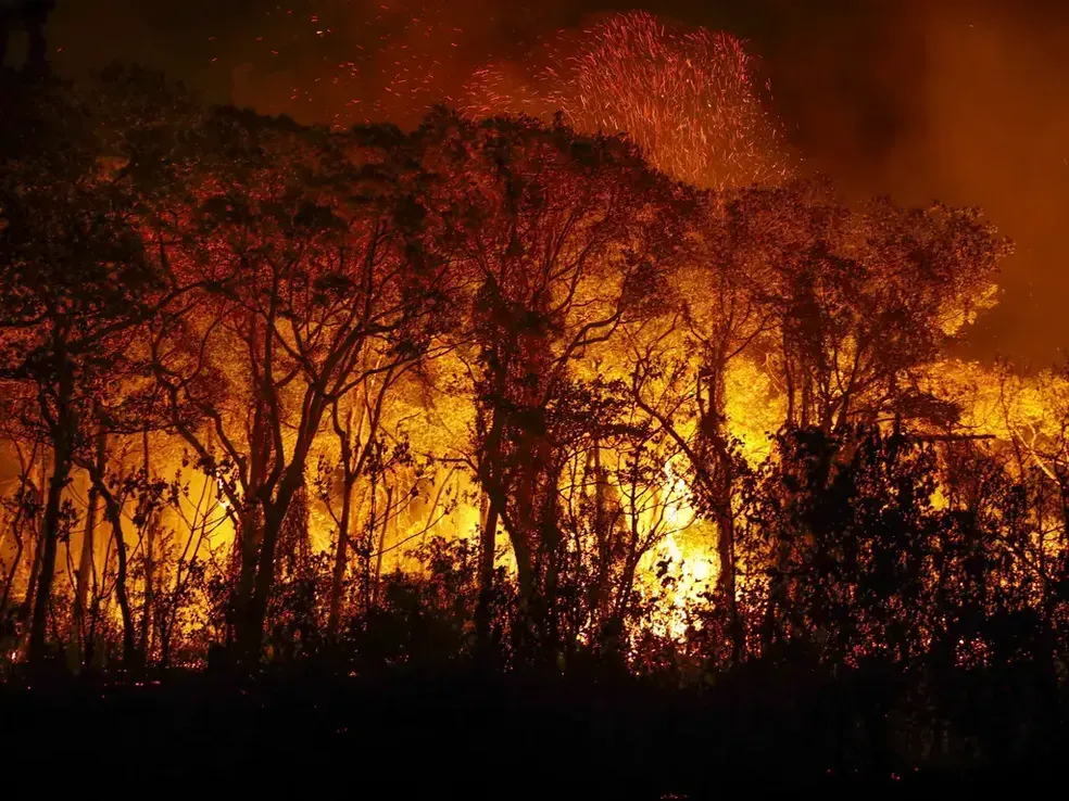 Forest engulfed in bright orange flames and smoke at night