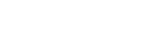 LOGO VIXALOTS