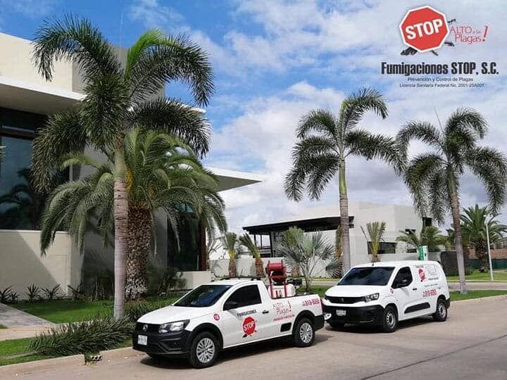 FUMIGACIONES STOP - Mas de 25 años de experiencia en fumigaciones