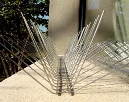 FUMIGACIONES STOP - Sistema de control de aves