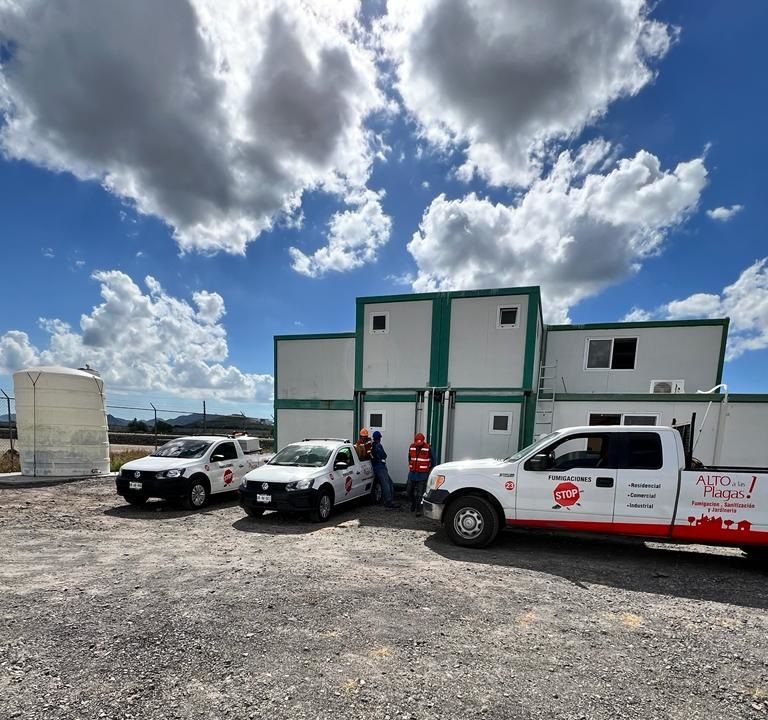 FUMIGACIONES STOP -  Alacrán