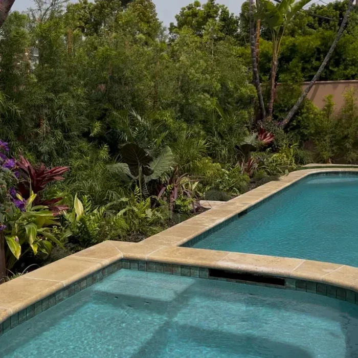 Tropical backyard with a blue swimming pool and dense green plants surrounding it