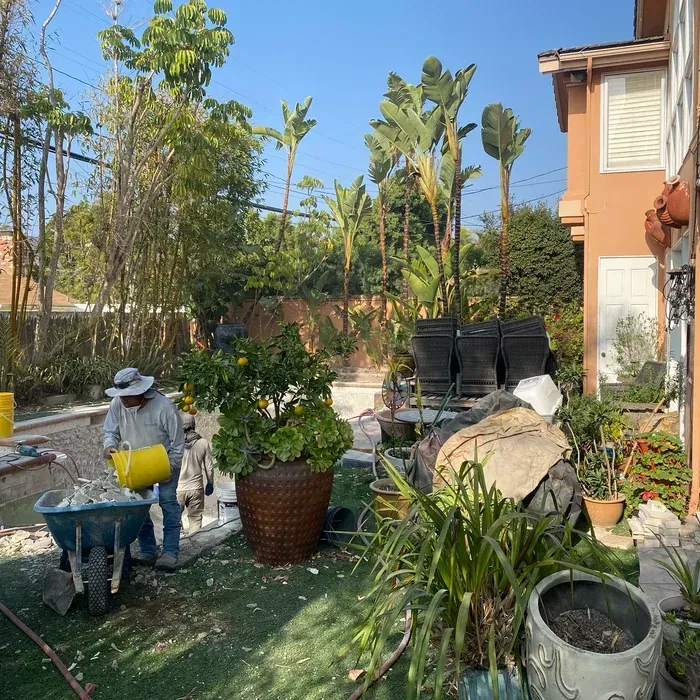 Gardener watering plants in a sunny backyard beside a house and potted greenery