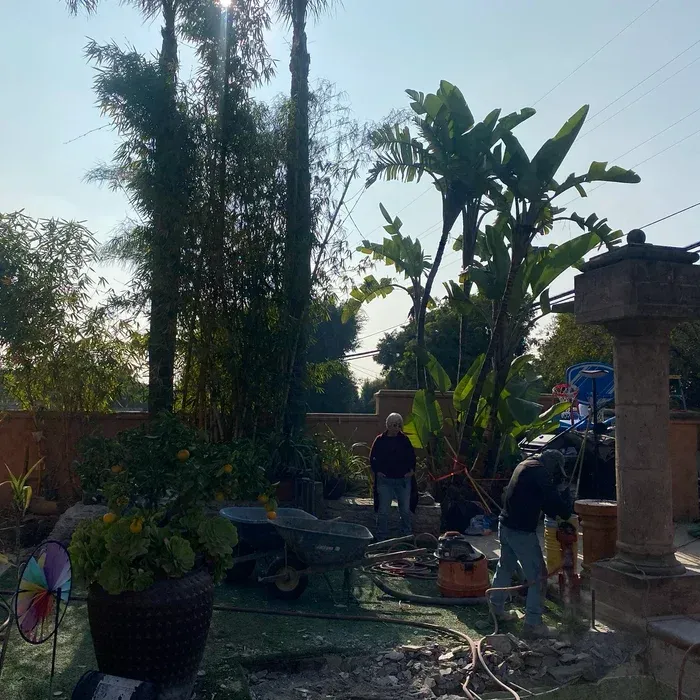 Backyard garden with potted plants, tall trees, and two people working in sunlight