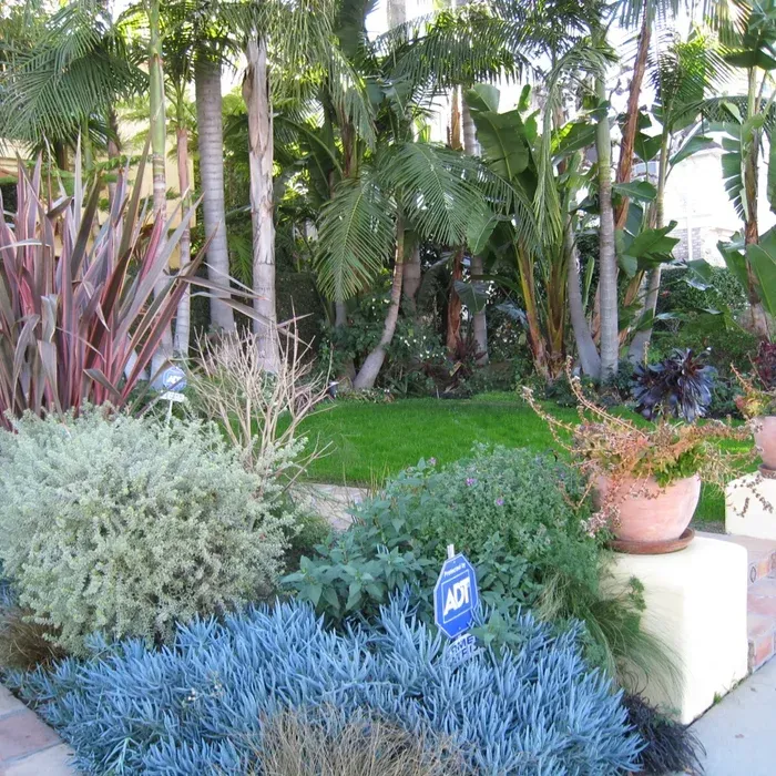 Lush tropical garden with palms, colorful shrubs, and a manicured green lawn
