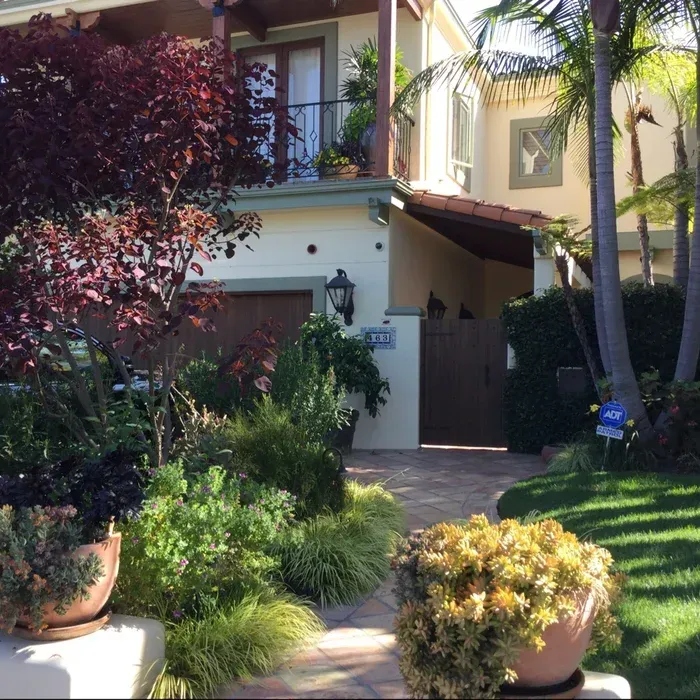 Sunlit suburban house entrance with palm trees, lush shrubs, and a stone walkway