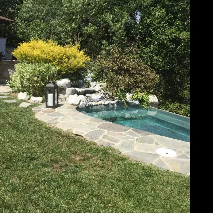 Backyard pool with stone patio, lantern, and green shrubs beside a lawn